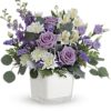 Honey Lavender Blooms