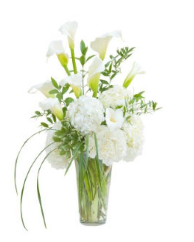 Wow them with this elegant vase featuring calla lilies, hydrangea, and premium foliage.