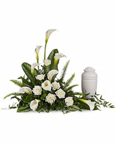 <div class="m-pdp-tabs-description">
<div id="mark-1" class="m-pdp-tabs-marketing-description">A calming portrait in ivory. Majestic calla lilies and stately white roses are framed by the lush leaves of aspidistra and calathea. Soft green sword fern adds to the soothing tones.</div>
</div>
<p id="arrngDescp">Large white calla lilies pair with white roses and lush greens that include soft, airy sword fern and glossy aspidistra. Please note: Arrangement does not include urn.</p>