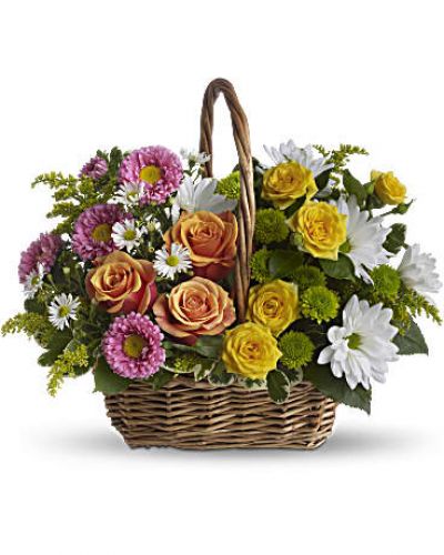 A rainbow in a basket! This cheerful array of colorful blooms is a versatile pick for any occasion, presented in a handled basket that can be moved from room to room as the mood strikes. The perfect gift to cheer up a special someone when they need a smile.
Presented in a handled basket, this colorful arrangement includes orange and yellow roses, pink matsumoto asters, white daisies, green button mums, white monte cassino asters, delicate solidago and fresh greens such as salal and variegated pittosporum.