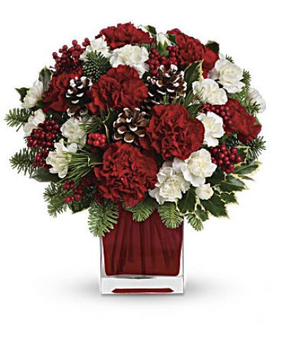 <p>Make them merry with this sweet bouquet! Red carnations and white carnations are beautifully presented in our bright red glass cube.</p>
<ul>
<li>Red carnations and white miniature carnations are accented with tips of noble fir, white pine, holly and assorted greens.</li>
</ul>